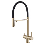 Смеситель для кухни Abber Wasser Kreis AF81141G золото матовое