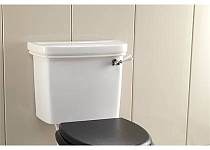 Ручка для механизма слива Decor Walther Rose IBLZROSECR