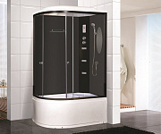 Душевая кабина Niagara Premium NG-214-01RN, стекло тонированное