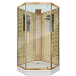 Душевая кабина Niagara Luxe 100x100 NG-7717GBK золото